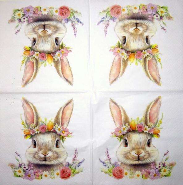 105 Hasen: natürlich - 3-lagig